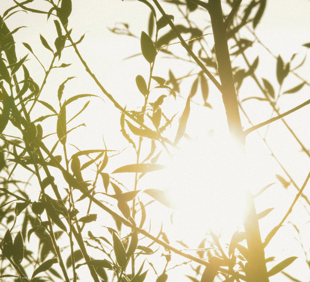 Contraluz Outubro 2014-1.jpg